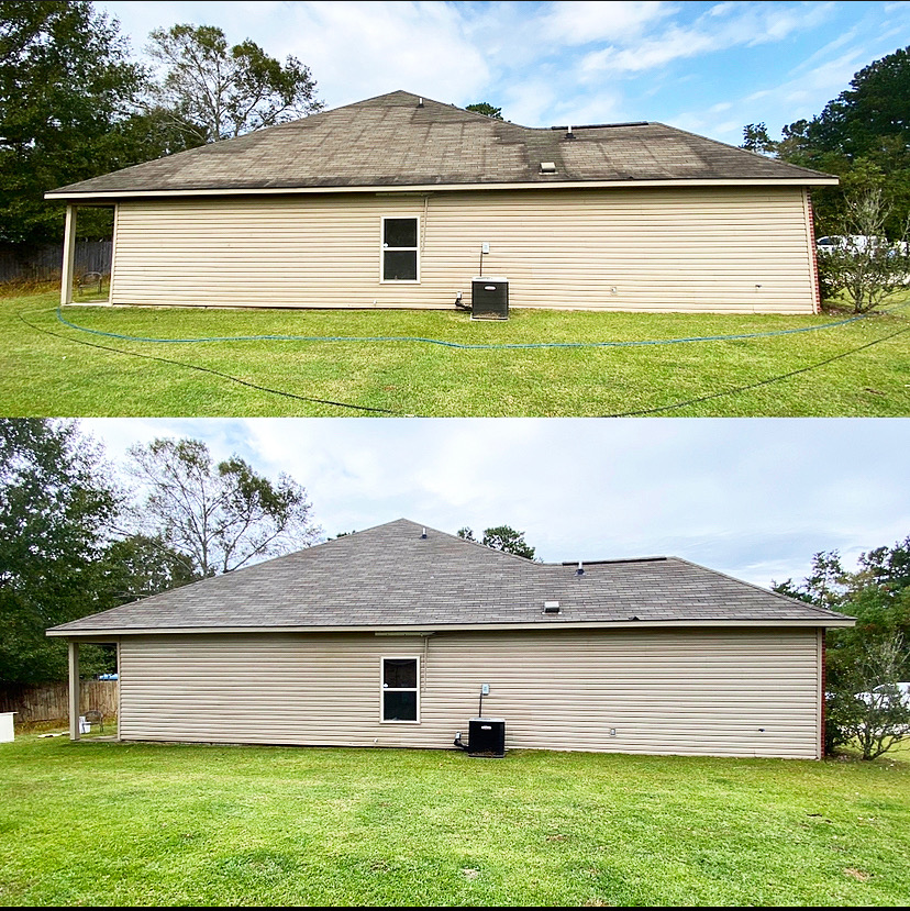 Roof Cleaning project photo for Clean Defense Force in Hoschton, GA