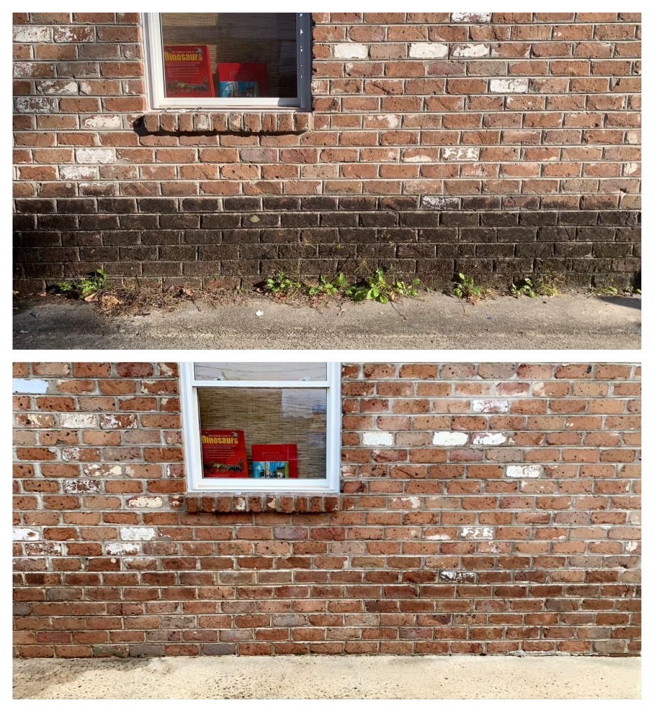 House Washing project photo for Clean Defense Force in Dacula, GA