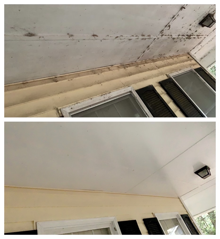 House Washing project photo for Clean Defense Force in Jefferson, GA