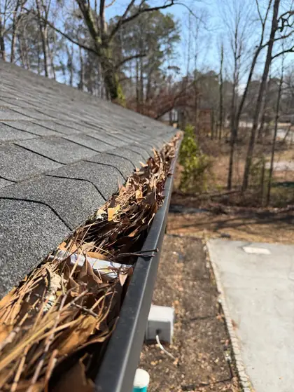 Before Gutter Cleaning