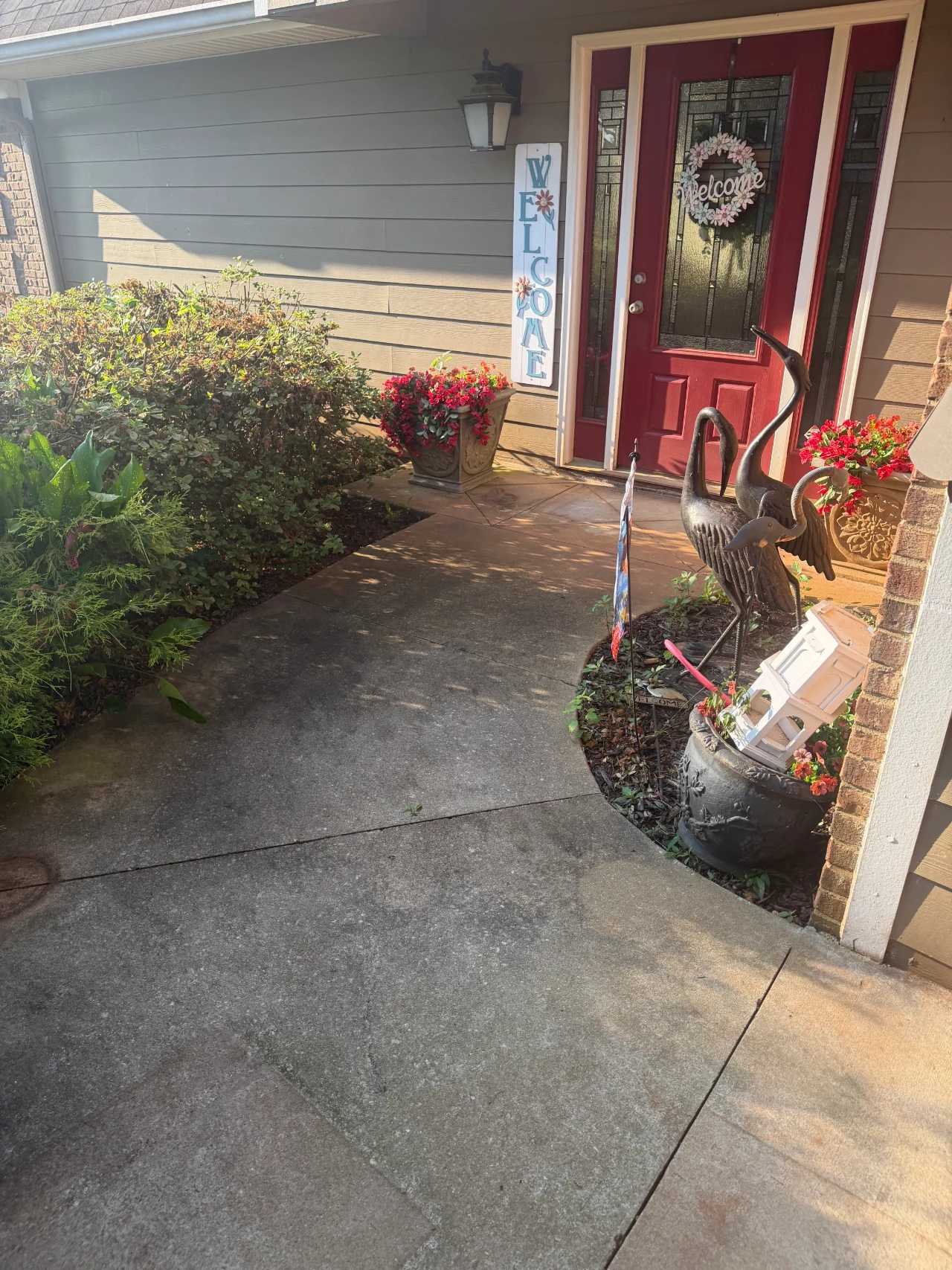 Concrete walkway leading through landscaping to a red front door.