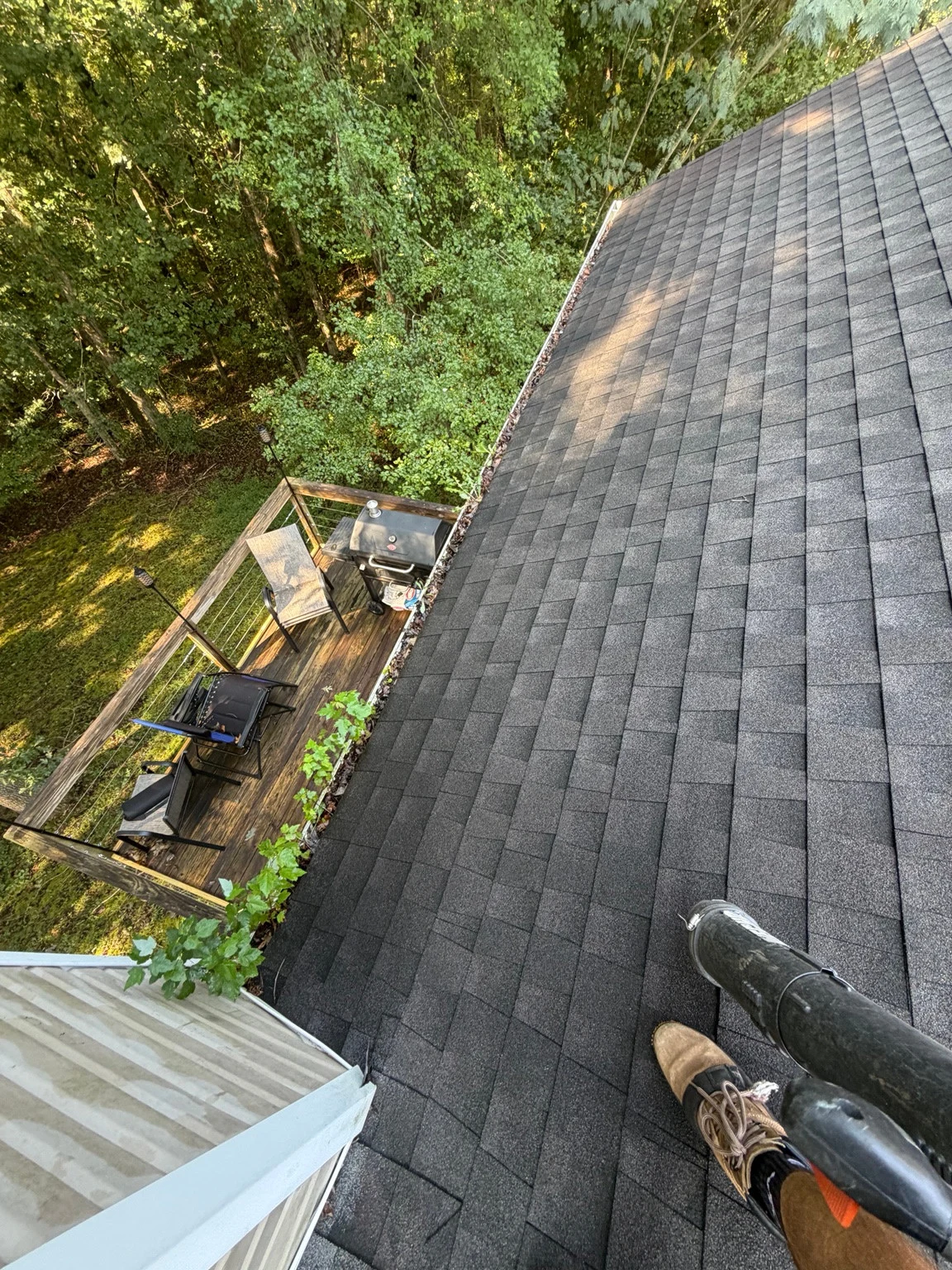 Winder gutter above a deck with heavy debris and leafy plants before cleaning