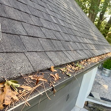 Thorough-Gutter-Cleaning-in-Lawrenceville-GA-Protecting-Your-Home-from-Water-Damage 3