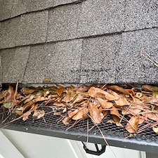 Thorough-Gutter-Cleaning-in-Lawrenceville-GA-Protecting-Your-Home-from-Water-Damage 5